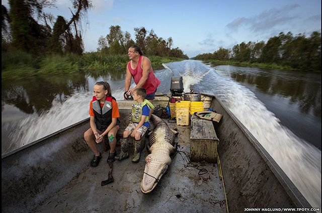 Фотограф Джонни Хаглунд - охота на аллигаторов в штате Луизиана, США