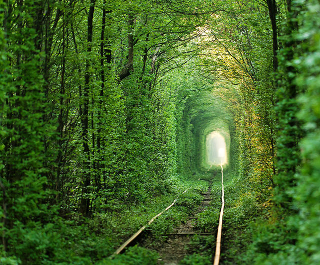 tunnel_of_love