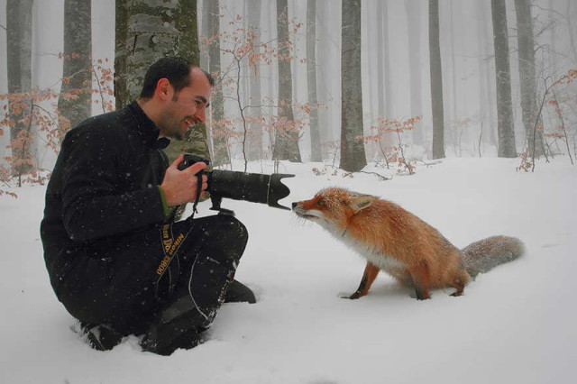 amazing-fox-photos-20-1_1