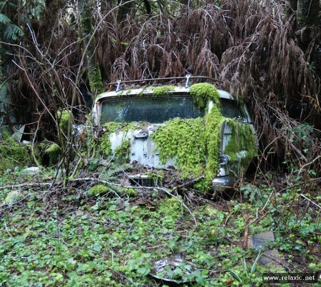 old-cars_00001